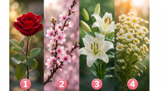 Trắc nghiệm: Bạn thích cành hoa nào?