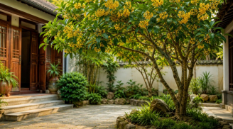 Người xưa nói: Trồng cây mộc hương đúng vị trí này, gia đình êm ấm, con cháu hưởng phước