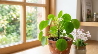 Người xưa truyền lại: 4 dấu hiệu xuất hiện trong tháng 7 âm được xem là điềm lành