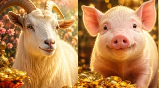 3 con giáp hiếu thảo trời thương, từ nay tới hết tháng 7 âm có lộc bất ngờ