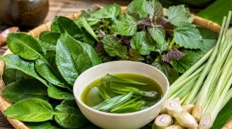 Cách dùng 3 loại lá phổ biến để gội đầu giúp sạch gàu, mượt tóc, hỗ trợ mọc tóc con