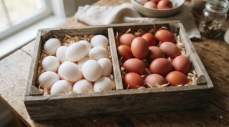 Mua trứng gà nên chọn trứng vỏ màu trắng hay màu đỏ?
