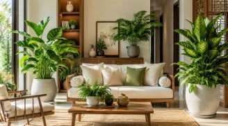 Người xưa nhắc: Trồng cây trong nhà đừng đặt bên Trái bên Phải tùy tiện, hóa ra có quy luật