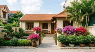 Nhà có sân nhỏ nên trồng cây gì? 5 loại cây vừa dễ sống vừa tạo cảm giác nhà cửa đủ đầy