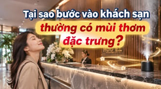 Tại sao bước vào khách sạn thường có mùi thơm đặc trưng?