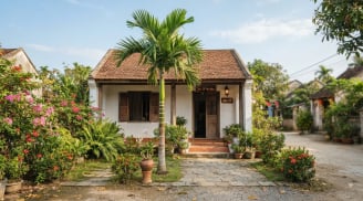 Tại sao ông bà ta lại nói 'Trước cau sau chuối'?
