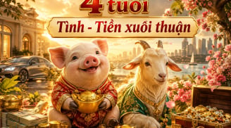 Tình - Tiền xuôi thuận, 4 tuổi tháng 7 Âm vẫn giàu