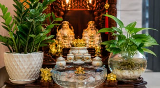 Trồng cây ở ban thờ Thần Tài: Nên trồng thủy sinh hay trồng đất để hút may mắn hơn?