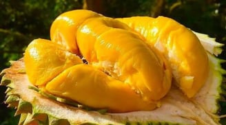 Ai không nên ăn sầu riêng?