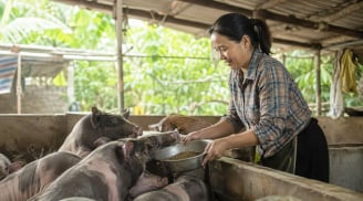 Phụ nữ tự chủ tài chính bằng việc tham gia BHXH, vay vốn kinh doanh