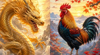 Tháng 9-10: Cơ hội tới nhưng khó giữ nếu 3 con giáp này không kiểm soát điều này