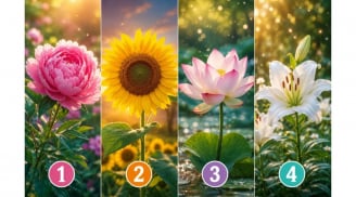 Chọn 1 bông hoa nở để xem bạn có thực sự sống được với đam mê của mình