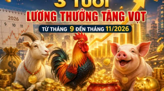 3 tuổi lương thưởng tăng vọt từ tháng 9 đến tháng 11/2026