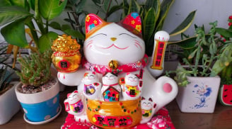 Mèo thần Tài vẫy tay nên đặt hướng ra cửa hay hướng vào trong?