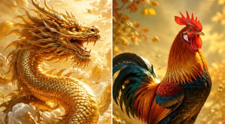 Sau ngày 25/8, 3 con giáp có đà tăng mạnh, càng về cuối năm lương thưởng càng có tín hiệu khởi sắc