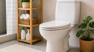 Nên đóng hay mở nắp bồn cầu sau khi dùng xong?