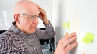 Suy giảm trí nhớ do bụi mịn và mỡ nội tạng, sự thật hay tin đồn?