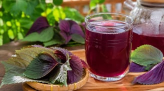 Uống nước tía tô vào thời điểm nào tốt?