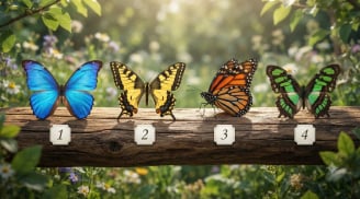 Chọn 1 chú bướm sẽ giúp bạn biết tháng 9 điều gì đang chờ đợi bạn