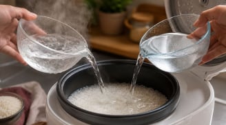 Nấu cơm bằng nước nóng hay nước nguội ngon hơn?