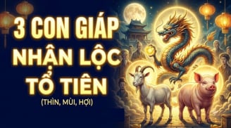 31/8 - 6/9: Có 3 tuổi là con cưng của Thần Tài, cát tinh chiếu mệnh