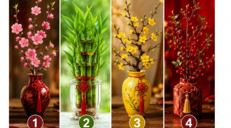  Chọn 1 cành lộc để xem vận tài chính của bạn đang theo xu hướng nào