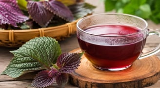 Uống nước tía tô hàng ngày có tốt không?
