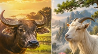 3 con giáp lương thiện, khó khăn vẫn giữ mình, càng về già càng hưởng phúc lớn