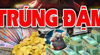 Từ nay tới Tết Nguyên Đán: 3 con giáp Ăn Lộc Phật Tổ Trúng Số giàu nứt vách