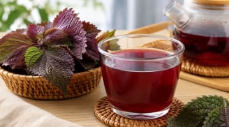 Những người nên hạn chế uống nước tía tô, tưởng lành nhưng không phải ai cũng phù hợp