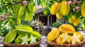 Cây khế chua và khế ngọt trong phong thủy có khác nhau về ý nghĩa không? Nên chọn loại nào?
