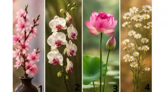 Chọn 1 cành hoa bạn ấn tượng nhất: Người khác thực sự nghĩ gì về bạn?