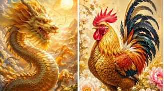 Từ đêm nay tới Tết Đinh Mùi: 2 tuổi thênh thang Thăng Tiến, 1 tuổi dễ chuyển hướng công việc tốt lành