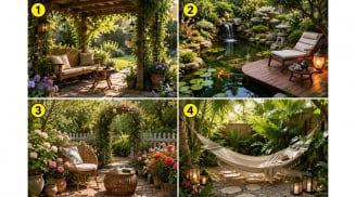 Chọn 1 góc vườn bạn muốn nghỉ ngơi để xem bạn đang thu hút điều gì?