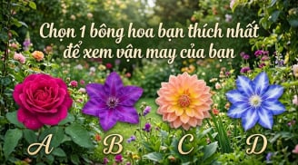 Chọn 1 bông hoa bạn thích nhất để xem vận may của bạn