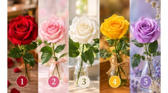 Chọn 1 bông hồng bạn ấn tượng nhất: Dự báo câu chuyện tình cảm của bạn đang theo xu hướng nào?