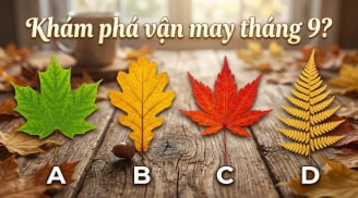 Đâu là chiếc lá bạn thích nhất để khám phá vận may tháng 9?