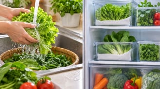 Có nên rửa rau trước khi cất tủ lạnh? Nhiều người đang hiểu sai
