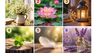 Chọn 1 hình vẽ bạn thích nhất: Xem cách bạn đối diện với thất bại