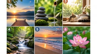 Chọn 1 trong 6 hình ảnh khiến bạn thấy tĩnh tâm: Khả năng giữ bình tĩnh của bạn đến đâu?