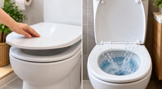 Dùng xong nên đóng hay mở nắp bồn cầu? Nhiều người đang làm ngược cách vệ sinh đúng