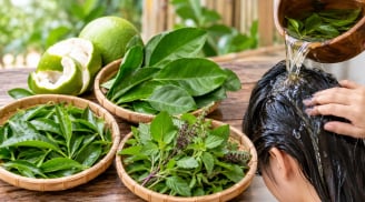 Cách gội đầu bằng 3 loại lá phổ biến giúp tóc sạch, đẹp và hỗ trợ mọc tóc con