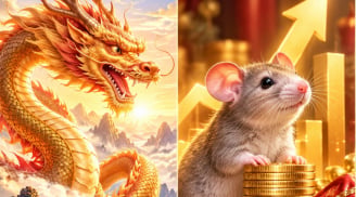 Từ 12/9 đến 22/9: 2 con giáp có đà thăng tiến, 1 con giáp có thêm thu nhập phụ