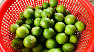 Mẹo bảo quan chanh tươi ngon, mọng nước trong vài tháng