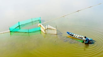 Những nghề mưu sinh độc đáo trong mùa nước nổi miền Tây Nam Bộ