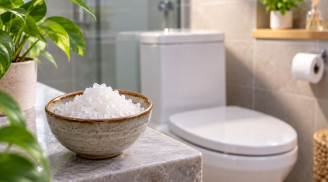 Vì sao nhiều gia đình đặt bát muối biển trong nhà vệ sinh?