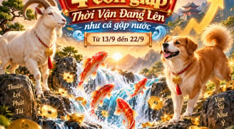 4 con giáp Thời Vận Đang Lên như cá gặp nước từ 13/9 đến 22/9