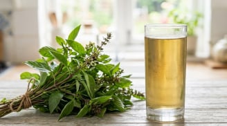 6 lợi ích của việc uống nước lá húng quế