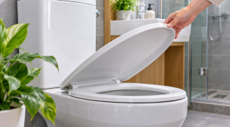 Nắp bồn cầu để làm gì? 5 công dụng nhiều người bất ngờ khi biết