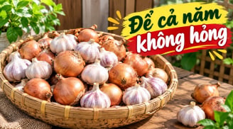 Mẹo bảo quản hành tỏi cả năm không mốc, ọp